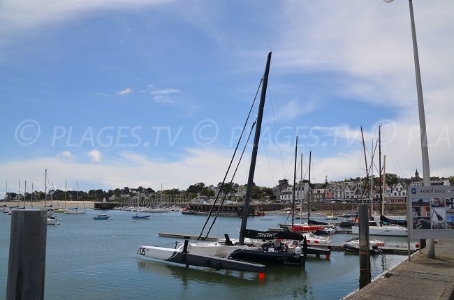 Port de la Trinité sur Mer avec des multicoques