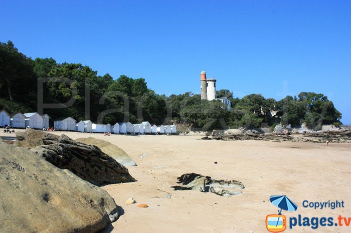 Rouge cove: untame character and the Plantier tower  - Noirmoutier