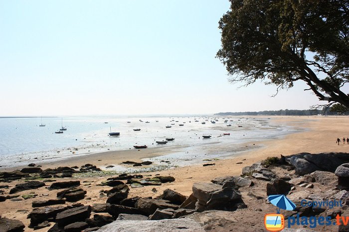 Beach near the forest of La Chaize - Noirmoutier