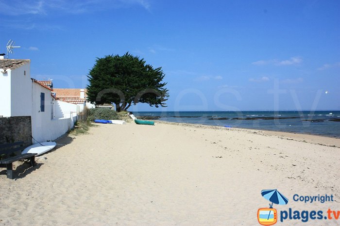 The Vieil Beach on the waterfront - Noirmoutier