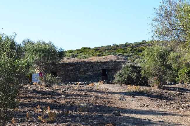 Paillet de Ghignu à proximité de la plage