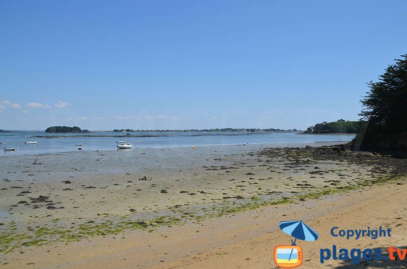 Parc ostréicole dans le golfe du Morbihan