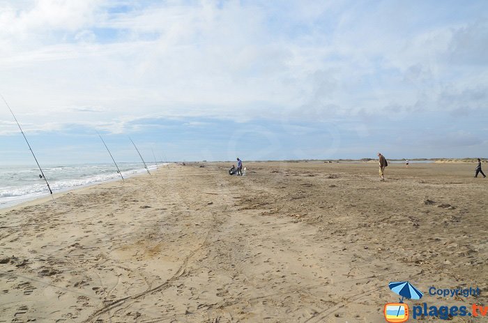 Pêche sur la plage de Piémanson