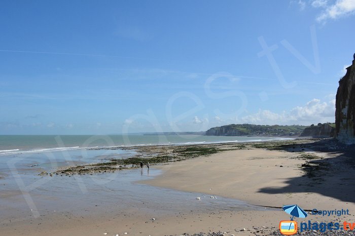 Petit Ailly cove with view on Dieppe