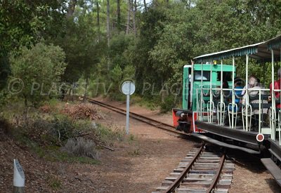 Petit train de St Trojan