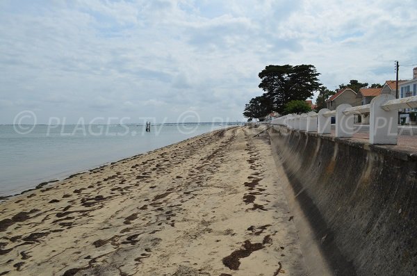 Petite Plage in Saint Trojan les Bains in Oleron in France