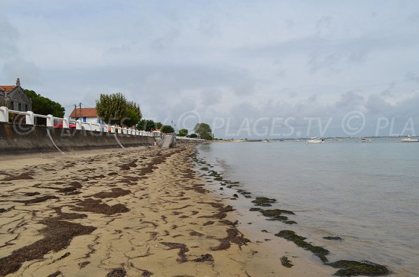 Plage au sud d'Oléron - St Trojan les Bains