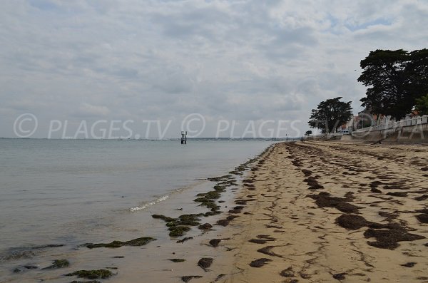 Petite Plage à Oléron (St Trojan)