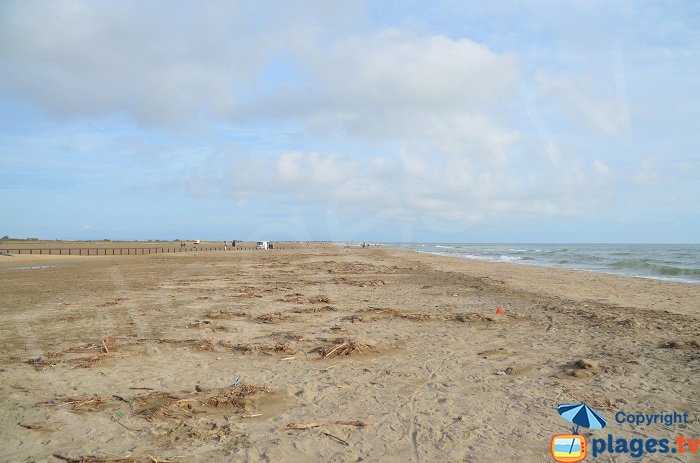 Grande plage en Camargue - Piémanson