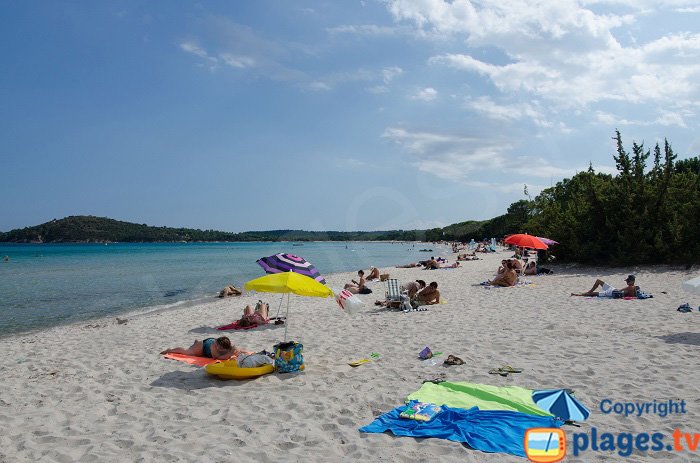 Plage à Pinarellu