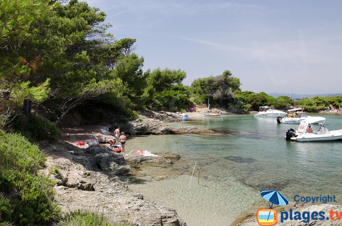 La pinède des Embiez avec ses plages