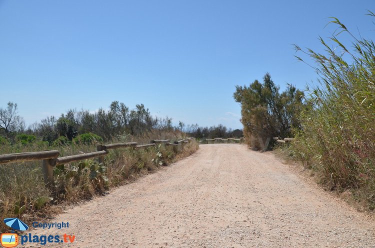 Piste de la plage sud