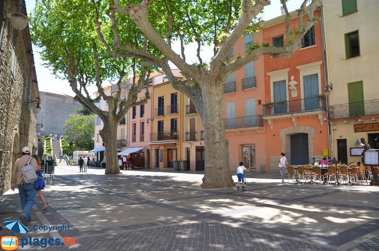 Collioure Square