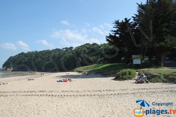 Pelouse sur la plage des 4 Vaux