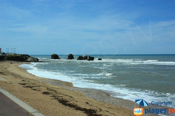 Plage des 5 Pineaux à Saint Hilaire