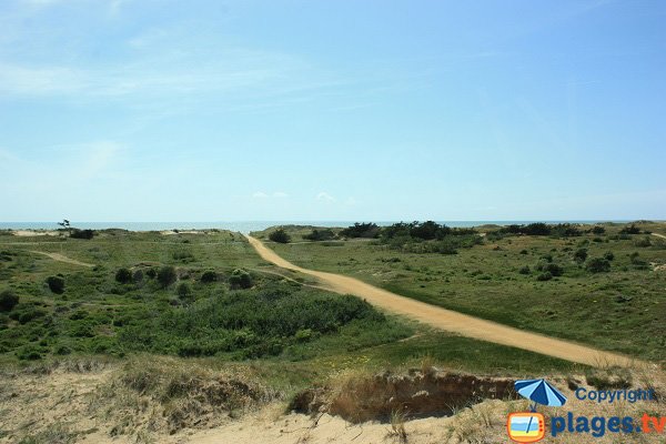 Sentier d'accès à la plage des 60 Bornes