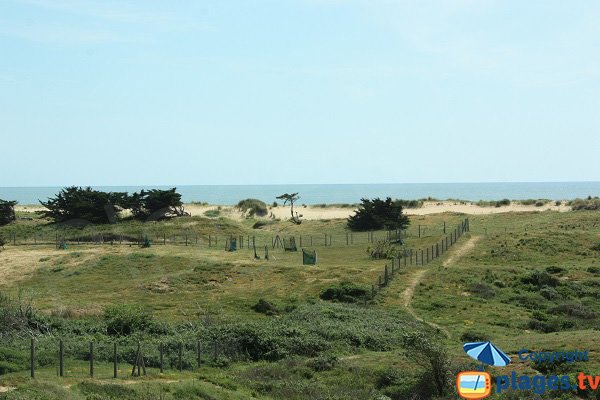 Environnement de la plage des 60 Bornes