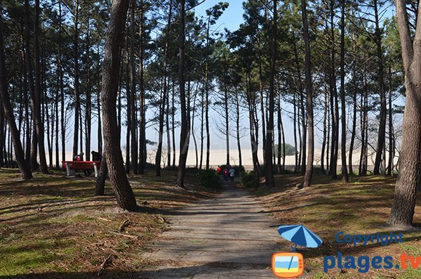 Spiaggia Arbousiers di Arcachon