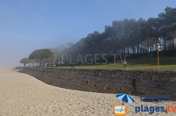 Brouillard sur la plage des Abatilles - Arcachon