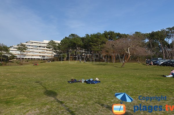 Pelouses le long de la plage des Abatilles - Arcachon