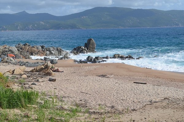 Cricca a Olmeto-Plage in Corsica