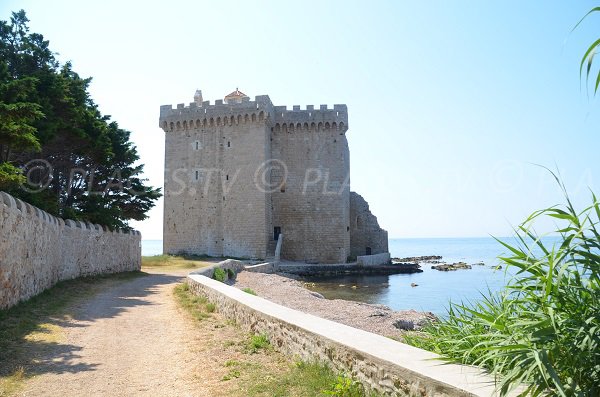 Fortified monastery in Lérins island - Saint Honorat