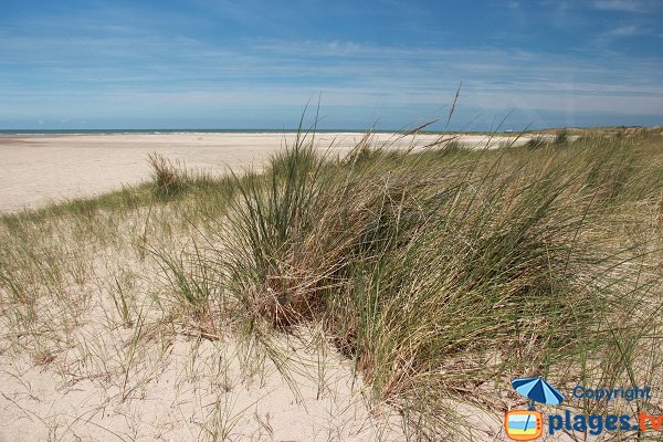 Plage des Hemmes d'Oye