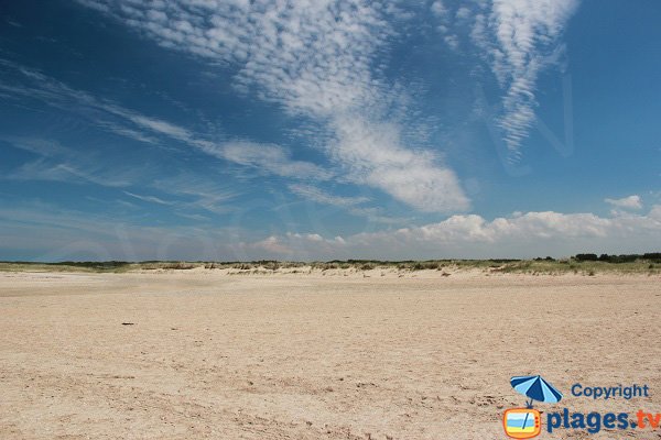 Environnement de la plage de l'abri cotier d'Oye-Plage