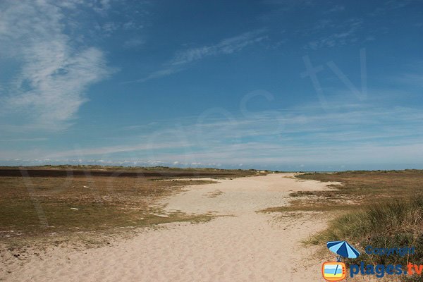 Sentier d'accès à la plage de l'abri côtier - Oye-Plage