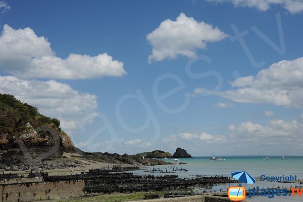 Oyster beds in Cancale