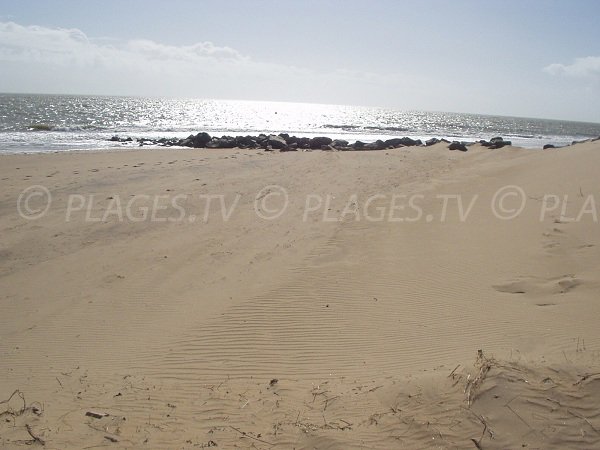 Plage Les Acacias à Grière à La Tranche sur Mer