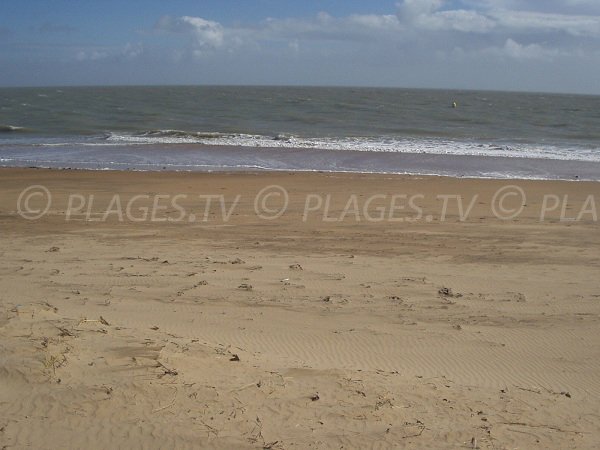 Plage des Acacias à La Tranche