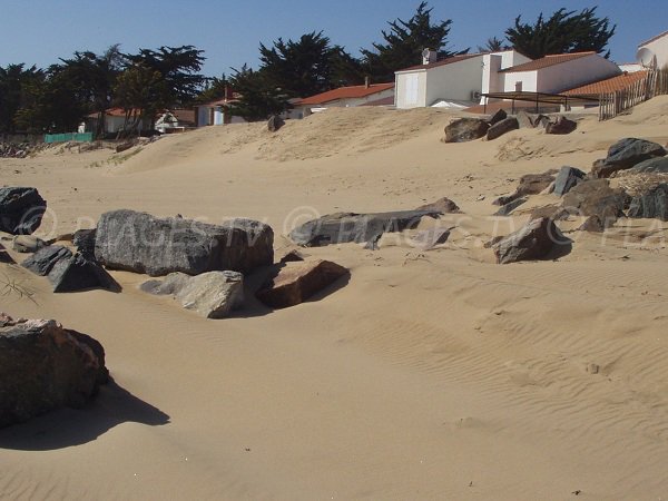 Environnement de la plage des Acacias à La Tranche sur Mer