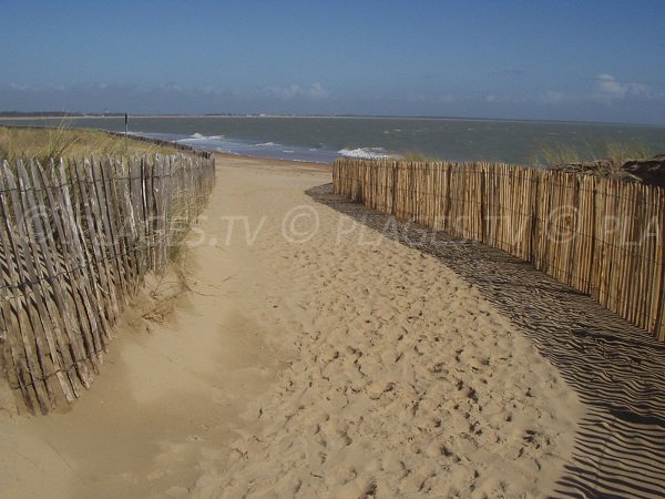 Access to Acacias beach in La Tranche sur Mer - France