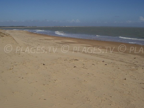 Acacias beach in La Tranche sur Mer in France