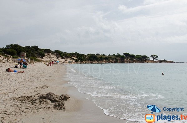 Plage d'Asciaghju à Porto Vecchio