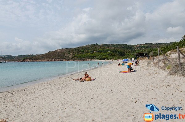 Spiaggia Palombaggia - Acciaju - Corsica