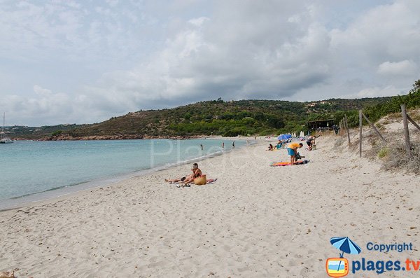 Beach in the Palombaggia bay - Acciaju