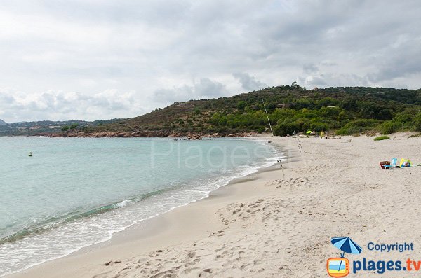 Spiaggia di sabbia - Porto-Vecchio - Acciaju