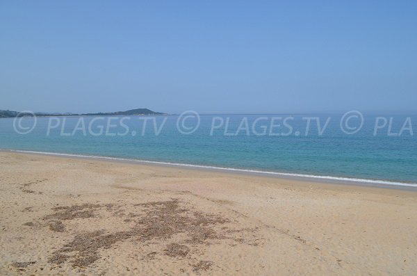 Plage de sable d'Agosta en Corse