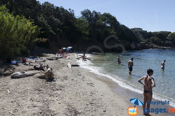 Plage de sable à Porquerolles au calme