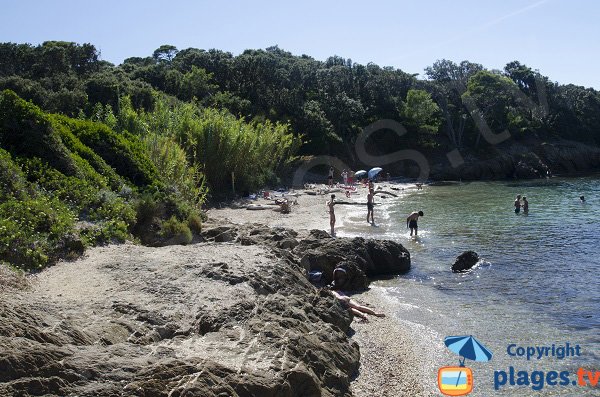 Plage de l'Aiguade sur l'île de Porquerolles