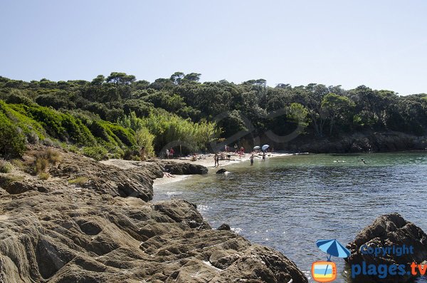 Plage de l'Aiguade à Porquerolles