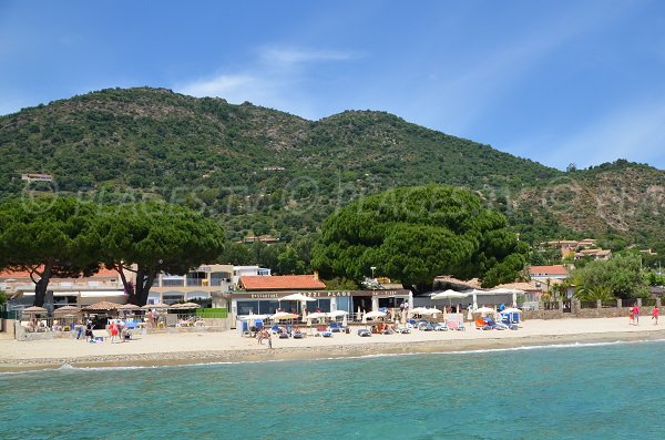 Plage avec de l'ombre au Lavandou - Aiguebelle