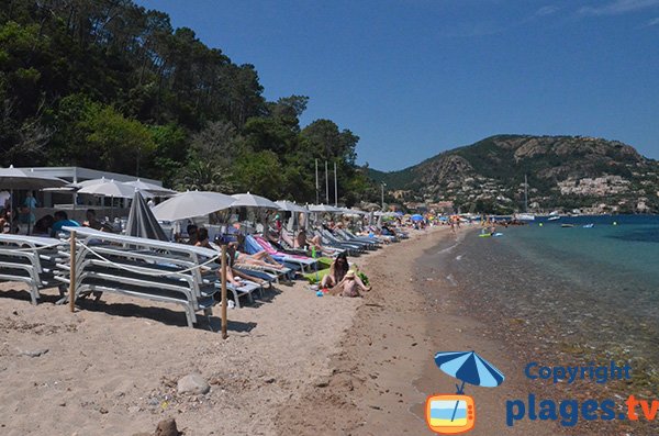 Plage privée sur la pointe de l'Aiguille à Theoule sur Mer