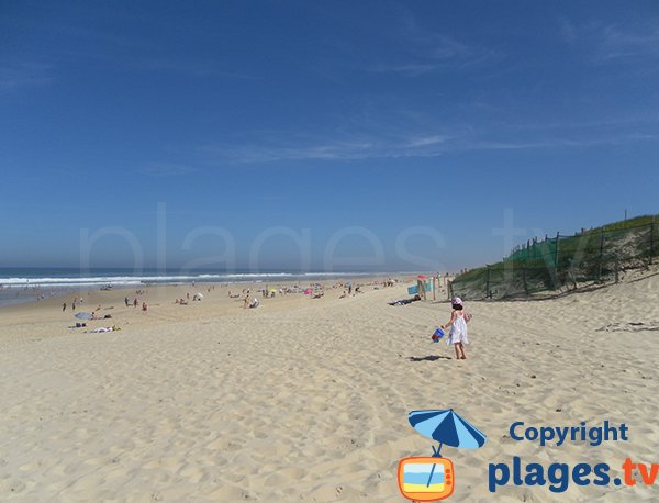 Spiaggia Les Ailes a Mimizan in Francia