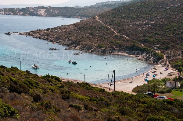 Photo of the Alga beach in Calvi