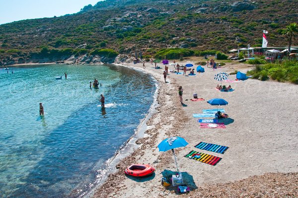 Beautiful beach in Calvi - Alga