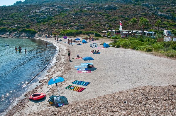 Alga creek in Corsica - Calvi