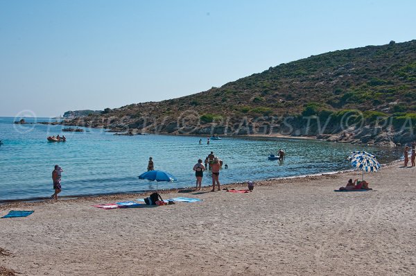 Plage d'Alga avec vue sur la pointe Vaccaja - Calvi